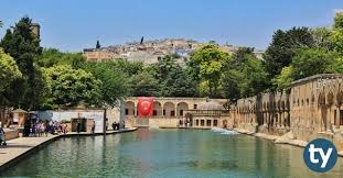 Çeaş şanlıurfa anadolu lisesi (haliliye). Sanliurfa Fen Liseleri Taban Puanlari 2021 Meb Lgs
