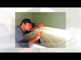 Our technicians understand bed bugs. Pest Control Toledo Service Ohio Bed Bug Exterminator Toledo