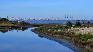 Uruguay recorded 1,215 new cases on sunday, 28% higher than the previous daily record. Uruguay Sudamerikas Perle Soll Logistikdrehscheibe Werden Dvz