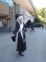 2020 edition of another anime convention will be held at westford regency inn and conference center, westford starting on 16th october. Anime Evolution Wikipedia