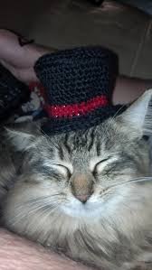 images?q=tbn:ANd9GcSR0Ff67rgCx9FftwehsrQ