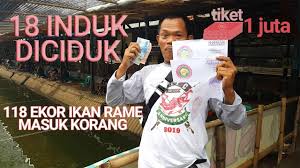 Lapak Pojok Borong 3 Amplop Pemancingan Mina Puri Youtube