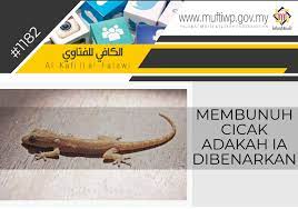 Sebaiknya jangan membunuh cicak karena cicak sebenarnya memiliki manfaat mengurangi jumlah nyamuk yang ada di rumah. Pejabat Mufti Wilayah Persekutuan Al Kafi 1182 Membunuh Cicak Adakah Ia Dibenarkan