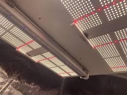 400w led grow lights product advantages. Badass Hlg 650r The Brightest Best Led Grow Lights In The World