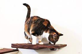 Catastrophicreations Cat Dining Table Handcrafted Wall Mounted Feeder Shelf Best Cat Food Cat Wall Furniture Cool Cats