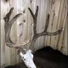 See full list on gohunt.com 1