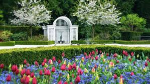 A watered garden is a rare beauty no matter where it is found. Well Watered Garden Pure Glory