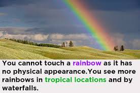 Rainy Season Rainy Season Essay Rainy Season Ecosystems