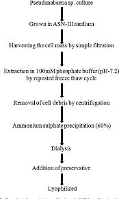 Figure 1 From Effect Of Preservatives For Food Grade C