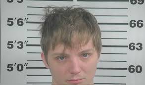 Cullman County man charged with trafficking meth