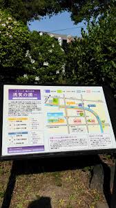 Erwin DeGuzman Cariaga