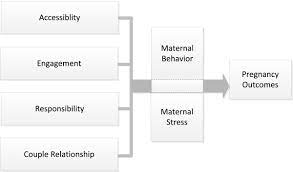 Model For Fathers Involvement During Pregnancy The Model Download Scientific Diagram