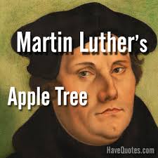 Martin Luther S Apple Tree Quote Life Quotes Love Quotes Funny Quotes And Inspire Quotes At Havequotes