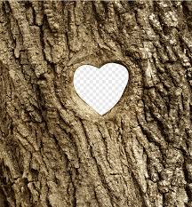 We did not find results for: Tree Hole Effect Tree Lines Heart Shaped Hole Png Pngegg