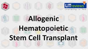 Hematopoietic stem cell transplantation (hsct) involves the intravenous (iv) infusion of autologous or allogeneic stem cells to reestablish hematopoietic function in patients whose bone marrow or immune system is damaged or defective. Allogeneic Hematopoietic Stem Cell Transplant Youtube