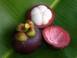 20 Fruits Incroyables Que Personne Ne Connait Fruits Et Legumes Mangoustan Fruit Et Idee Legume