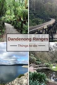 Top Things To Do In The Dandenong Ranges Near Melbourne Australia Vacation Australia Travel Australia Backpacking