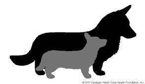 Check spelling or type a new query. Breeders Chesapeake Cardigan Welsh Corgi Club