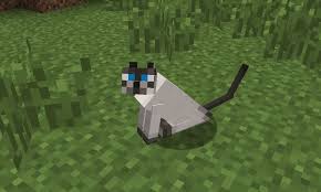 Zpravicky 10 Strach Creeperu Munio Minecraft Minecraft Ocelot Fish Bowl