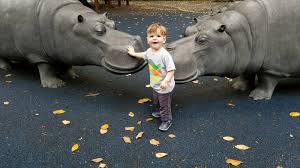 Pin By Carol Riste On Luca Animals Hippopotamus Lucas