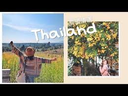 thailand 泰國 pai mae hong son chiang mai 泰北旅行 拜縣夜丰颂清邁northern thailand travel vlog youtube northern thailand travel thailand travel travel blogger