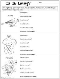 Living Or Non Living Worksheet Worksheets 6th Grade Science Science Worksheets Biology Worksheet