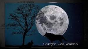 In ruhe und im sturm, bin ich wieder geboren. Nino De Angelo Gesegnet Und Verflucht Youtube