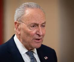 Schumer Dismisses Questions About 17 Percent Approval Rating