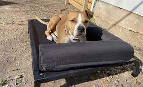 Sleeping in a dog bed generally allows for better ventilation in comparison to a dog crate. 6 Best Elevated Dog Beds 2021 Reviews Putting Your Pet On A Pedestal