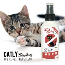 Our cat repellent is strong and powerful because it uses. Stay Away By Catly I 100 Ml I The Lovely Cat Repellent Spray I All Natural
