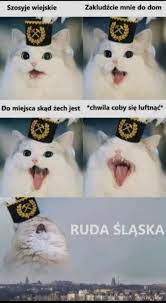 Definition of ruda śląska in the definitions.net dictionary. Ruda Najlepsze Memy Zdjecia Gify I Obrazki Kwejk Pl