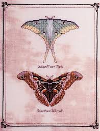 Counted cross stitch pattern : Oop Professor Fizzby S Wonderous Strange Collection Wee Beasties Part 2 Terrence Nolan Cross Stitch Patterns Pangaea Dimples Designs Cross Stitch Cross Stitch Patterns Cross Stitch Animals