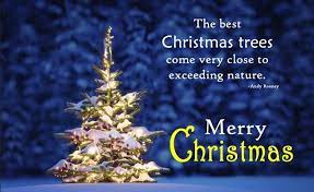 Christmas Tree Quotes Xmas Tree Poems Funny Jokes The Christmas Day Christmas Tree Quotes Tree Quotes Nature Quotes