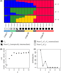 Image result for Alloteropsis