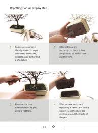 oxm download bonsai masterclass pdf ebook online download bonsai masterclass pdf ebook online book title: The Bonsai Beginners Guide Bonsai Empire