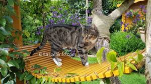 Www Katzeninfo Com Katzengarten Katzengarten Katzen Garten