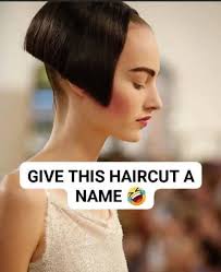 A funny caption please