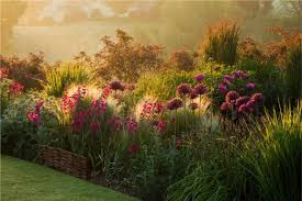 Pettifers Gardens Banbury Oxfordshire Beautiful Gardens Outdoor Gardens Garden Design