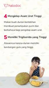 For more information and source, see on this link : Mitos Atau Fakta Pengidap Diabetes Tidak Boleh Makan Durian