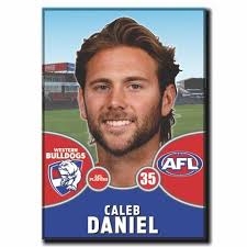 2021 AFL Western Bulldogs Player Magnet