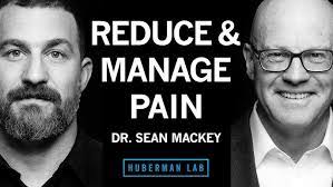 Steve Lovelace's Instagram, Twitter & Facebook