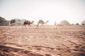 How much money is coldplay worth? Discover Jordan One Week Itinerary Thetravelblog At