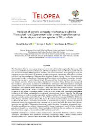 Image result for Asterochaete angustissima