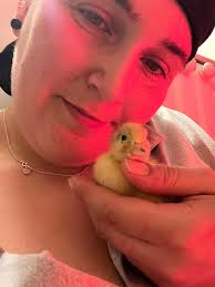 Newly hatched call ducks in Hensley's Henhouse