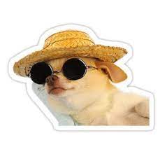 Chill Dog Sticker By Bodyghost Dog Sunglasses Sunglasses Meme Dog Stickers