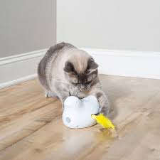 Tons of awesome cat hd wallpapers 1920x1080 to download for free. Peek A Bird Electronic Cat Toy By Petsafe Pty00 16857