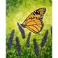Paint & Sip – Lavender Monarch