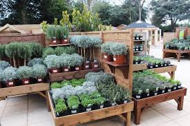 Scontent Fcur1 1 V T31 0 8 16423179 10154579491363800 2846634327427881391 O Garden Garden Center Displays Plant Nursery Garden Nursery