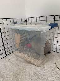 Alibaba.com offers 1,761 litter box rabbit products. Litter Box Idea Sterilite Container With A Hole Rabbits
