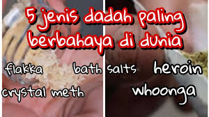 Keindahan tanaman ini justru halaman sebuah rumah yang kosong sangat cocok jika di tanami jenis palem ini karena perawatan palem ini sangat mudah dah juga tahan terhadap. 5 Jenis Dadah Paling Berbahaya Di Dunia Top Mode Youtube